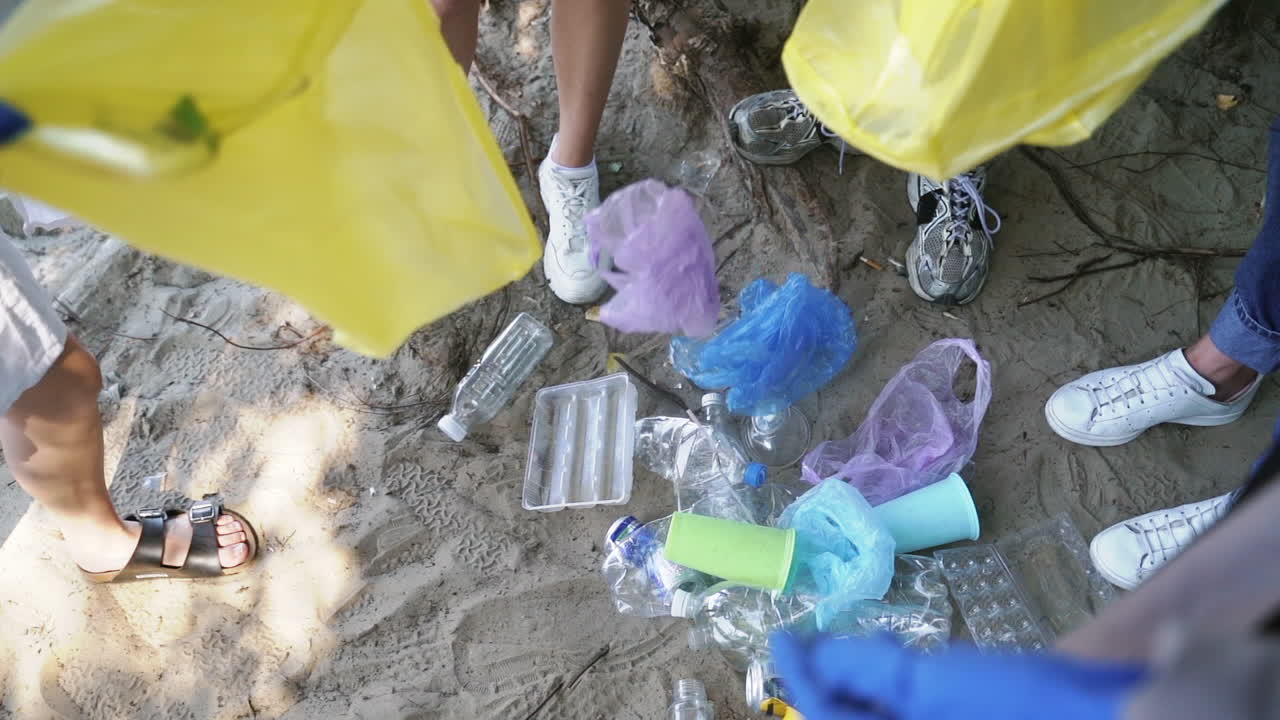 지역 해변 청소