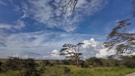 parque nacional de la serenidad de la sabana tranquila kenia tanzania