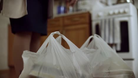 woman carrying grocery bags