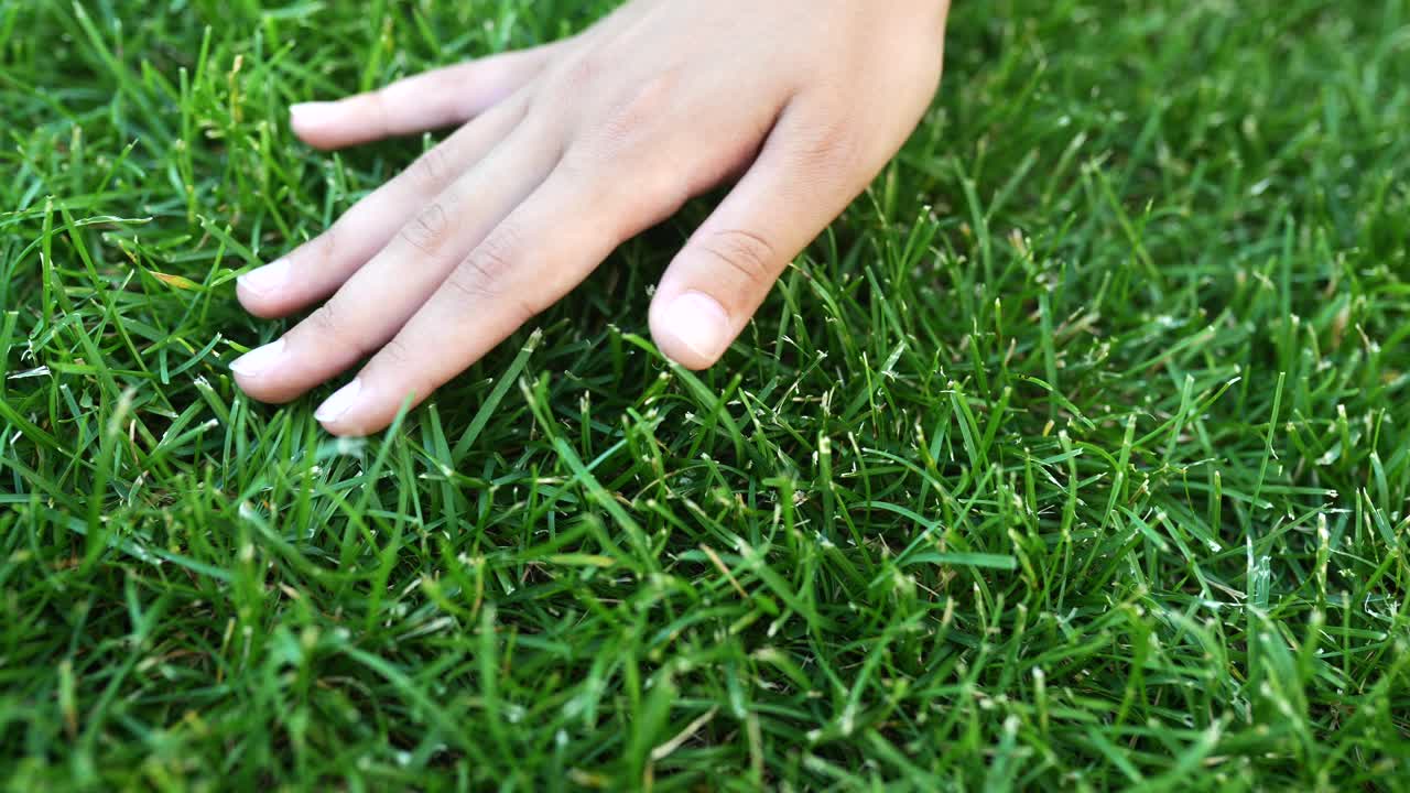 잔디를 만지는 손