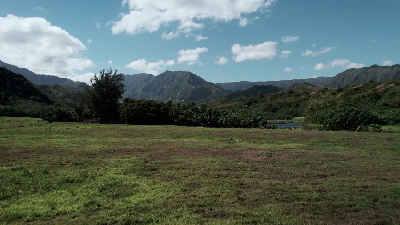 un pequeño pájaro blanco vuela a través de una hermosa escena panorámica de montañas, costa norte de kauai, antena