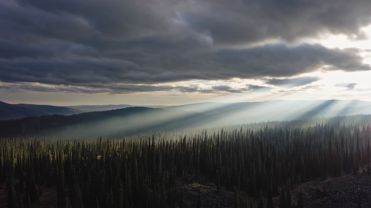 Sun Rays Piercing Through Clouds Over a Vast Forest Landscape