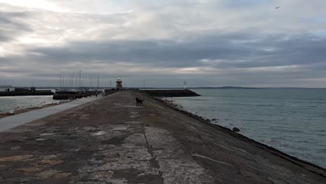 the beautiful bay of howth - a beautiful village near dublin