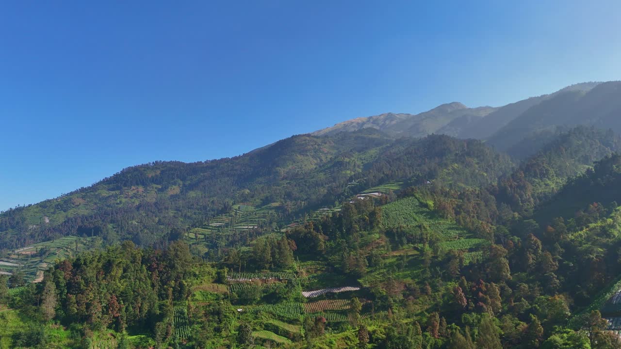 Mavi gökyüzü altında teraslı tarlalar ve yoğun yeşilliklerle dolu dağ manzarasının manzaralı havadan görünümü. Merbabu Dağı, Endonezya.