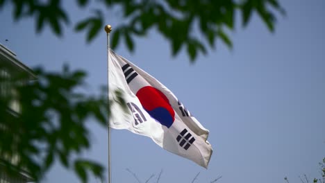 bandera de corea del sur en el viento