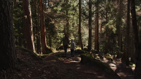 family hike in the woods