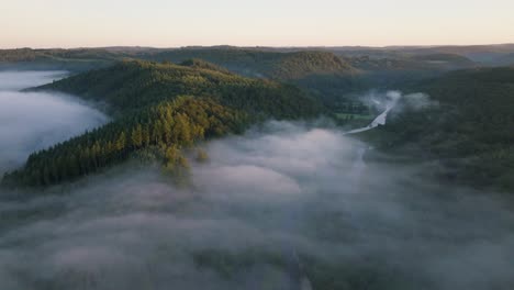foggy forest landscape with river