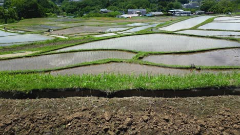 slow drone tilt up low over water filled rice fields in rural japan