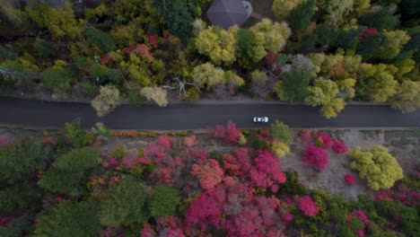 Vista-Aérea-De-Arriba-Hacia-Abajo-De-Los-Coches-Que-Conducen-Por-Una-Carretera-De-Montaña-Con-Colores-Otoñales