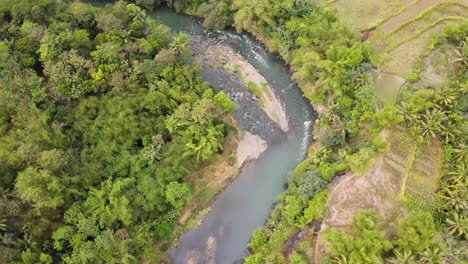 Orbit-drone-shot-of-winding-rocky-river-flows-on-tropical-country-with-dense-trees-and-plantation