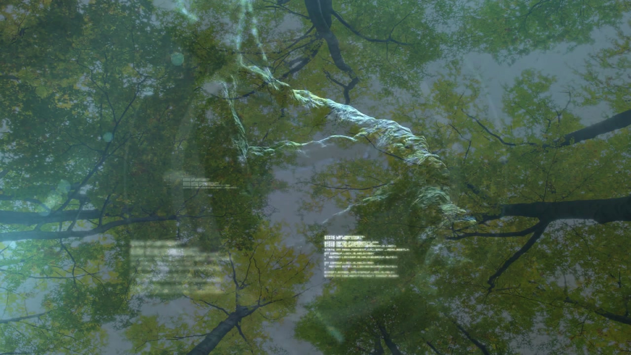 On start, fractal appearing in canopy, twisting then drifting left, code scrolling visualizing data
