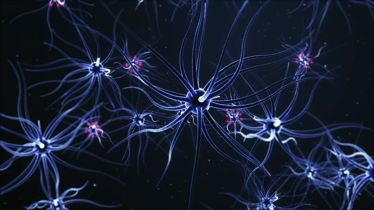 Neurons and the Brain