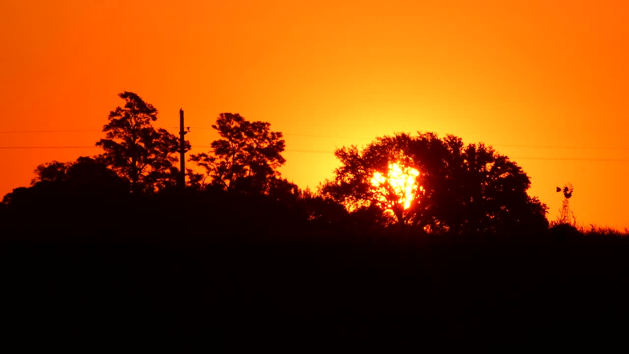 Beautiful Dramatic Sunset Behind The Silhouette Grove In Firmat Santa Fe, Argentina -wide shot