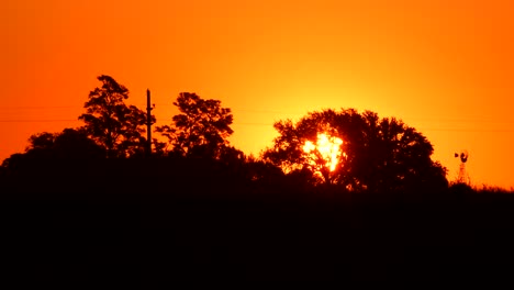 beautiful dramatic sunset behind the silhouette grove in firmat santa fe, argentina -wide shot