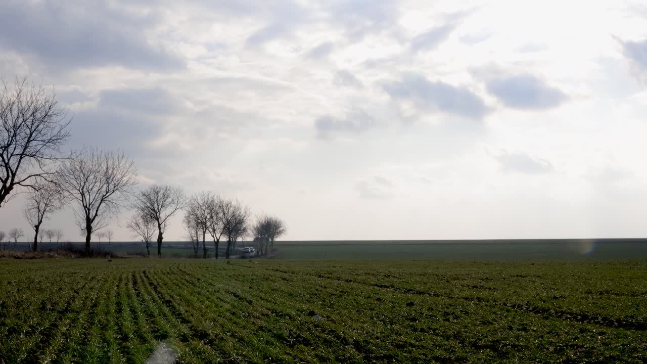 낮 에 시골 도로 를 따라 푸른 풀 의 모습 - 광각 촬영