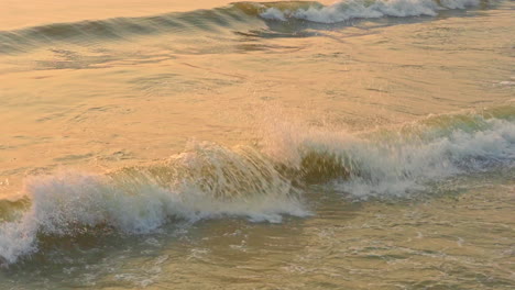 Golden-ambient-light-of-a-setting-sun-reflects-on-the-water-surface-as-waves-hits-a-beach-shore