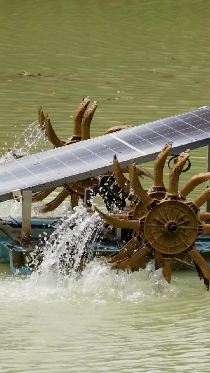 Un aeratore a ruota idraulica alimentato a energia solare funziona in uno stagno, migliorando la qualità dell'acqua tramite energia sostenibile.