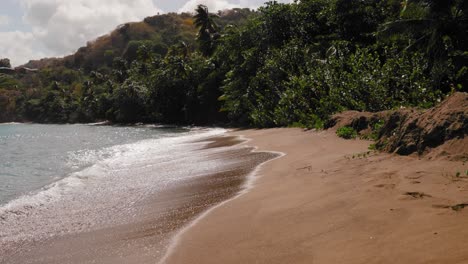 sandy beach of kings bay in tobago west indies