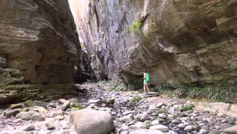 Eine-Frau-Geht-In-Einer-Tiefen-Schlucht-Im-Carnarvan-National-Park-Queensland-Australien-Aus