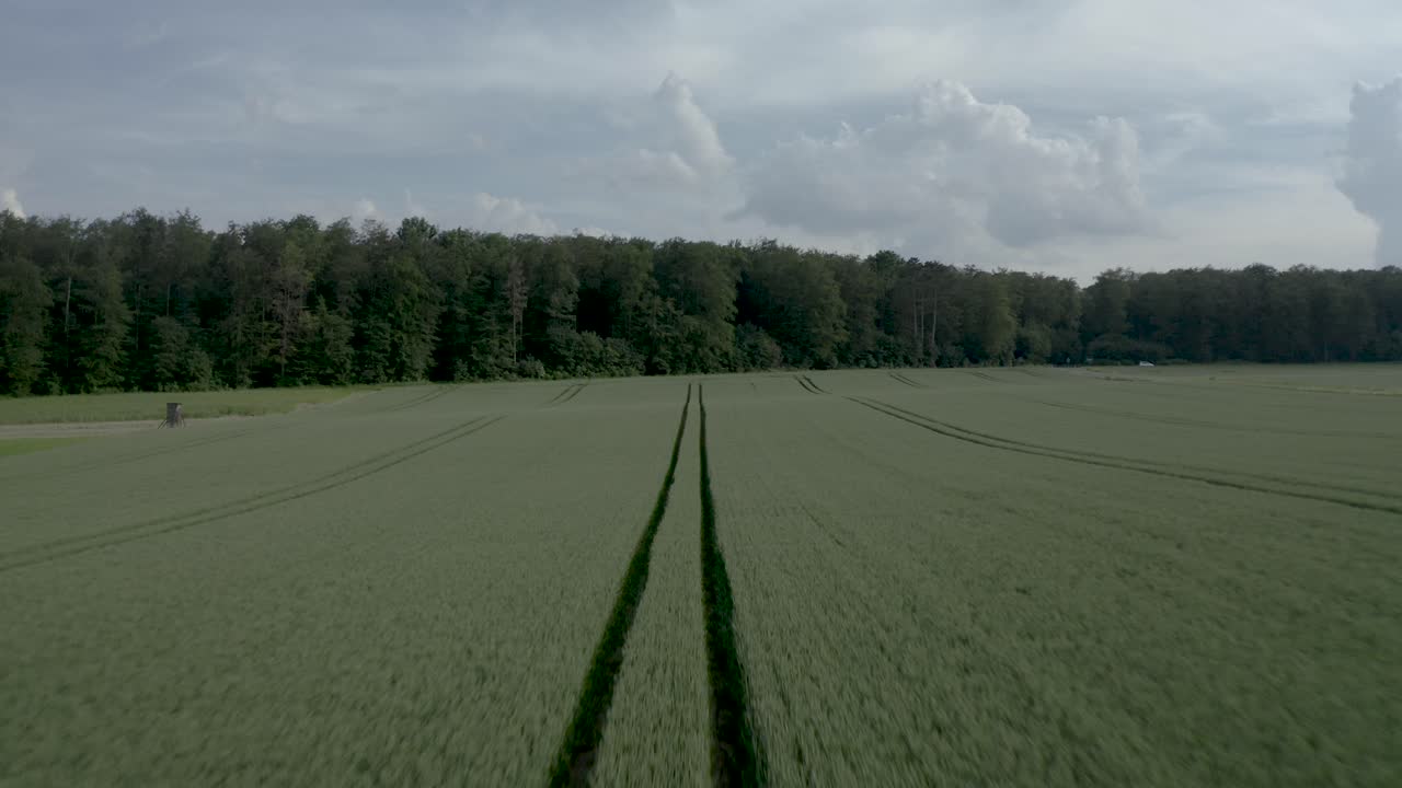 дрон по следам на свежих растениях на поле