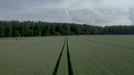 drone siguiendo huellas en plantas frescas en un campo