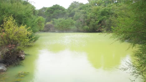 geological activity volcanic lanscape, green hot pool