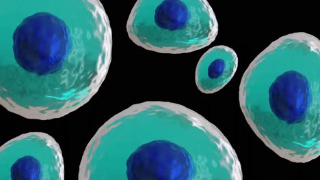 Animation-of-micro-of-blue-and-turquoise-cells-on-black-background