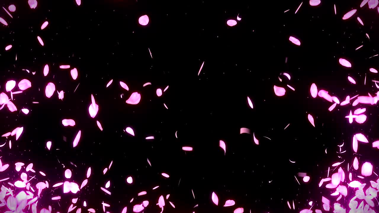 검은 바탕에 떨어지는 체리 꽃 잎, 루프 글리터 애니메이션