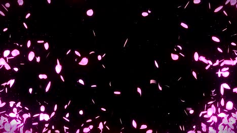 cherry blossom petals falling on black background, loop glitter animation,