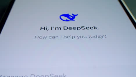 deepseek app interface