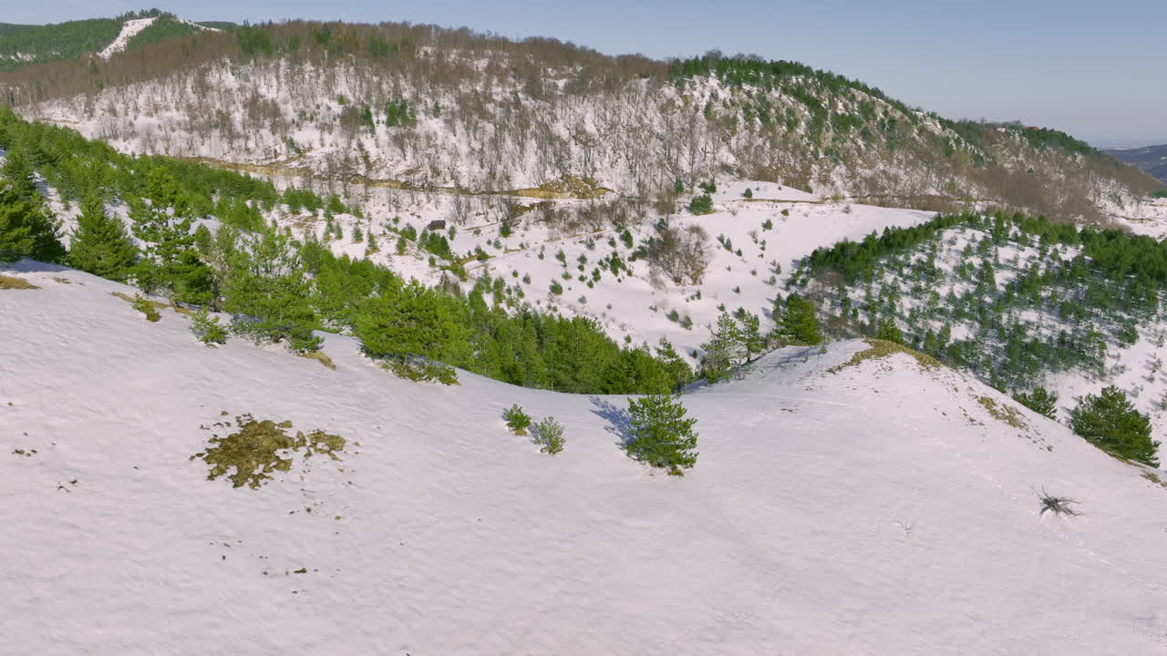 Winter mountain landscape with snow-covered hills and green pine forests