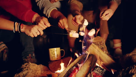 friends roasting marshmallows around a