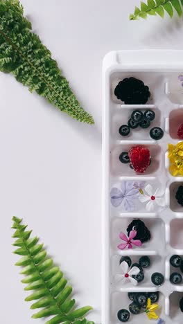 frozen berries and flowers in ice cube tray