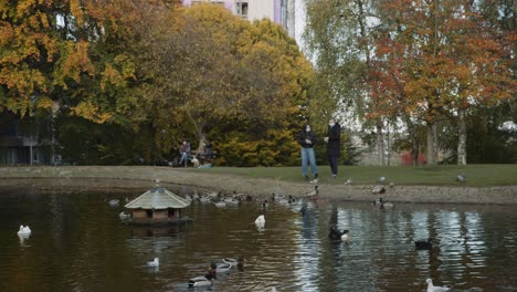 people feeding ducks at western park wearing covid-19 corona virus masks, autumn season, university of sheffield campus, sheffield, south yorkshire, uk