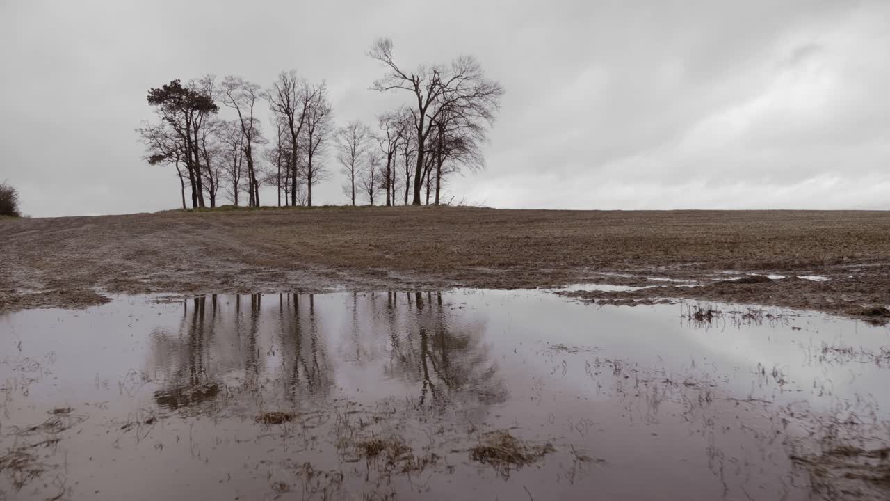 Bare trees in field reflecting in puddle on cold autumn day, graded forward dolly