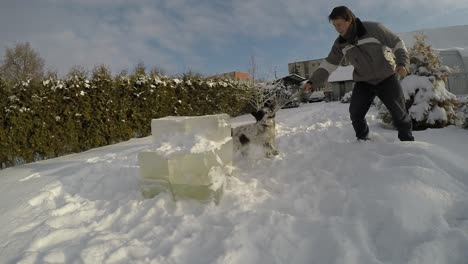 白色的狗,眼睛周围是黑色的,在雪上和主人一起玩