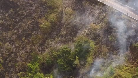 humo que se levanta de la vegetación que se quema cerca de la carretera