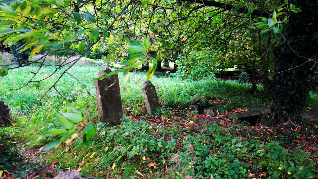 Ireland Epic Locations old graveyard lost in woodland spooky place with bad vibes and history autumn