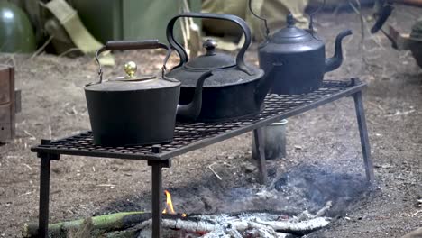 Ollas-Y-Hervidor-De-Agua-Sobre-La-Fogata-Durante-El-Viaje-De-Camping