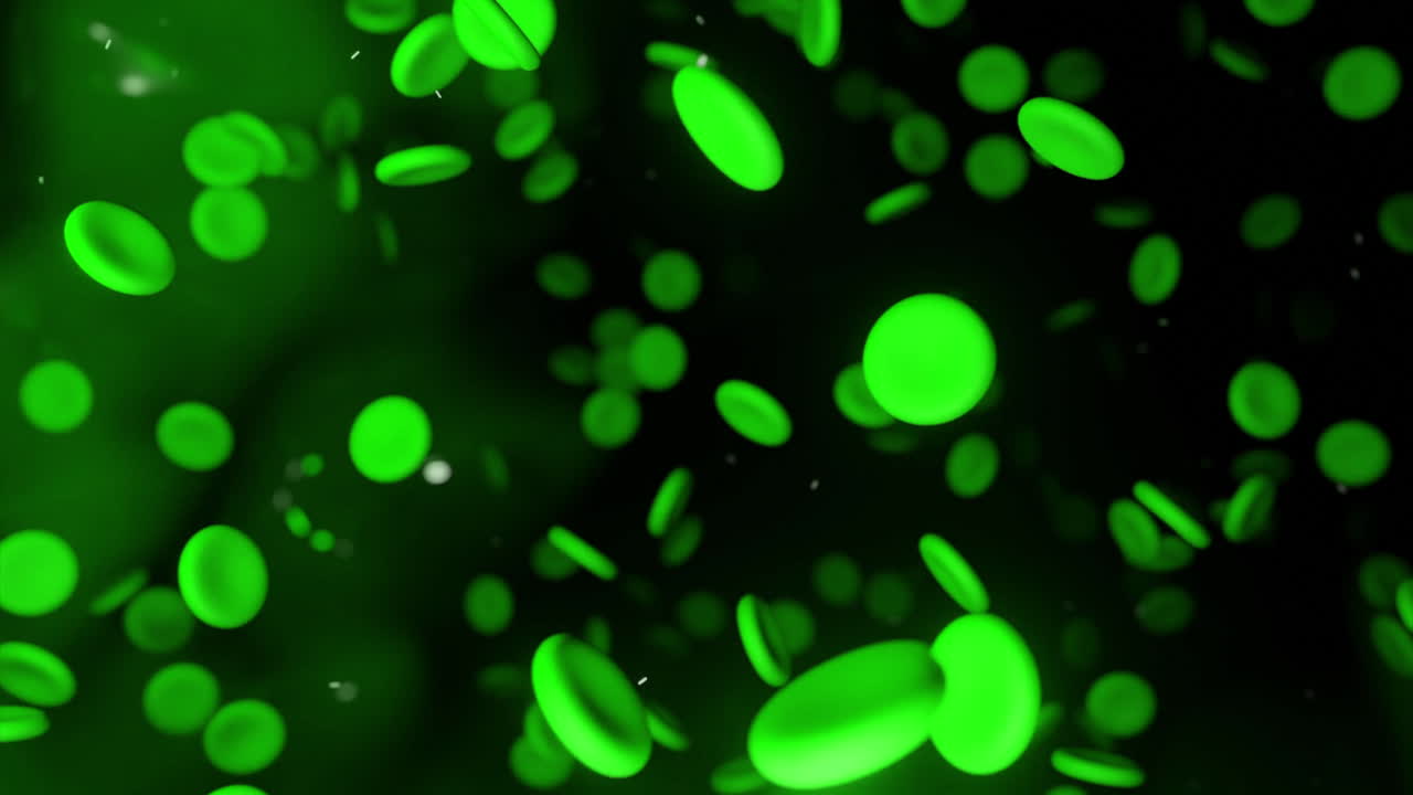 Animation of Red Blood Cells