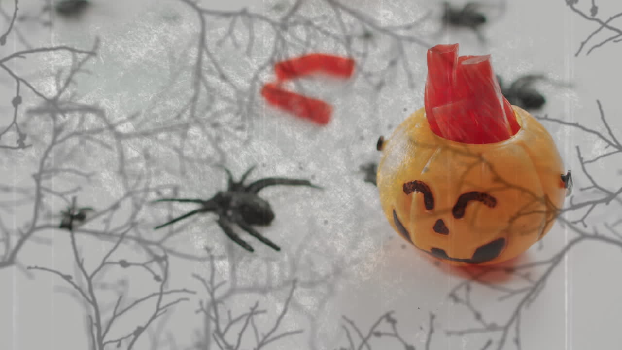 animación de balde de calabaza tallada de halloween con dulces y araña en fondo gris.