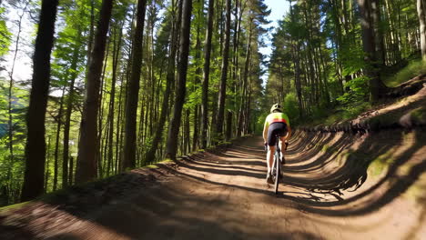 mountain biking through a sunlit forest trail