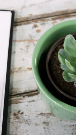 planta de aloe vera, diario con lápiz y clips de carpeta