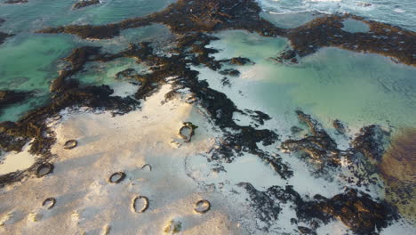 vista aérea de la playa volcánica con piscinas naturales en fuerteventura, españa