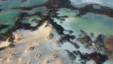 aerial view of volcanic beach with natural pools in fuerteventura, spain