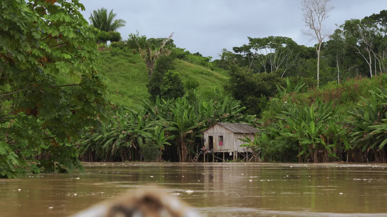 paseo en barco por el río amazonas en brasil