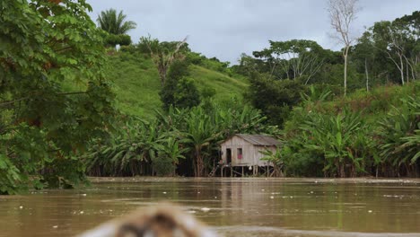 Paseo-En-Barco-Por-El-Río-Amazonas-En-Brasil