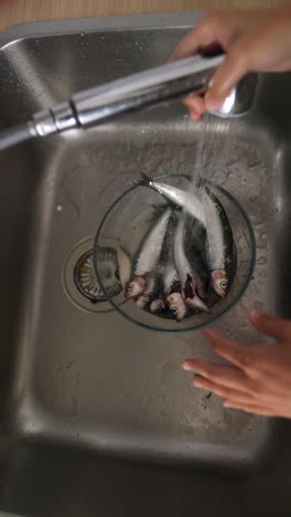 washing fish in the kitchen sink