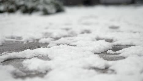 snow on a paved surface