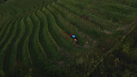 Traktor-Fährt-Durch-Weinberge